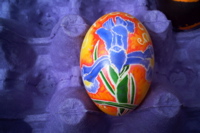 Ukrainian Egg